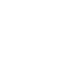 IPGE Brasil Logo